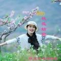 我的桃花姑娘