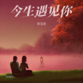 安玉柱 - 今生遇见你