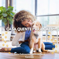 Música de Cachorro Calmante、Música Para Cães Adormecidos、Música Para Cães - Doces Sonhos de Parceria