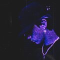 Lifestyle、PURP IX - No Remorse (feat. Lifestyle)(Explicit)