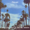 Falko Niestolik、Toni Del Gardo - Feeling (Extented Mix)