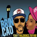 Waldokinc El Troyano、Mc Tana、Yoan - Brincao