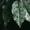 下完这场雨