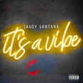 Saucy Santana - Birkin (No Hook)