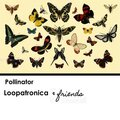 Pollinator