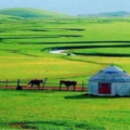 黄阳安 - 玛依拉变奏曲
