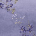 Chris Stonny、Sped Up Guys - Cupid (Sped Up)