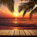 Vinz - Sunset Walk