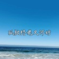 L1NO - 孤独终老又何妨