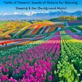 Fields of Flowers- Sounds of Nature for Relaxing, Sleeping & Zen (Background Music)