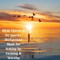 Birds Chorus of the Sunrise- Background Music for Waking Up, Focusing & Working
