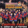 Banda Fortuna - Javier De Los Llanos