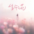云汐 - 生命之花