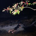 Carlos Nino、Carlos Niño & Friends、Laraaji、Photay - Maha Rose North 102021, Breathwork