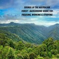 Sounds of the Australian Forest- Background Music for Focusing, Working & Studying