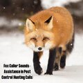 Fox Caller Sounds- Assistance in Pest Control (Hunting Calls)