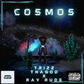 TrizzThaGod、RayRUDE - Cosmos (feat. RayRUDE & Prod by. Crater)