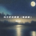 乌兰巴托的夜