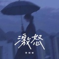 曾昭昭 - 激怒