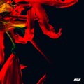 Pech+Schwefel、Southfirst、The Break Boys - Where Ya Want Me (Pech+Schwefel Remix)