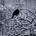Ketil Bjornstad - CONSEQUENCE