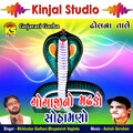 Bhupatsinh Vaghela - Shikotar Aavya Unava