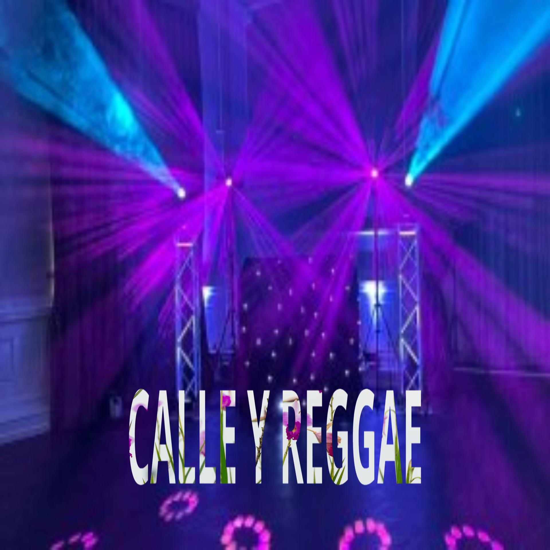 DJ Sabrosura - Calle y Reggae