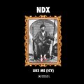 Like Me (Icy) [Explicit]