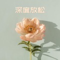 平静氛围 - 色彩