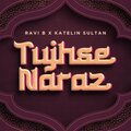 ravi b、Katelin Sultan - Tujhse Naraz