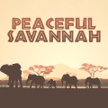 Peaceful Savannah (Relaxing African Music)