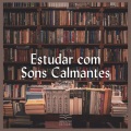 Estudar com Sons Calmantes