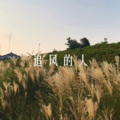 诗音乐霸 - 让风告诉你