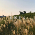 诗音乐霸 - 让风告诉你
