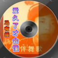马有振 - 爱久了才会懂