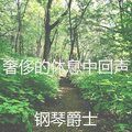 奢侈的休息中回声