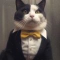 AtilaKw - Meow number 4 (The Big Billy 