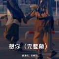 杨清纯、权啊杂 - 想你