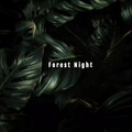 Forest Night Rain