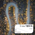 ℑ=mc² - 诀爱·尽
