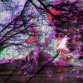 MXRRI - Loneliness (Sped Up|Explicit)