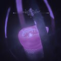 scarlet veil - Flicker