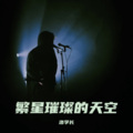 洛学长 - 繁星璀璨的天空