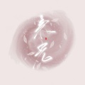 书书shine - 生