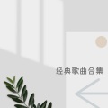 七彩文化 - 我真的受伤了 (吉他)
