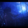 柚子ya - 笼