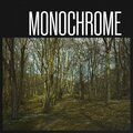 Ari Bragi Kárason、Carl Winther、Karl-Martin Almqvist - Monochrome
