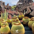 Stereolunga - Saxo (Extended Mix)