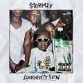 Longevity Flow (Explicit)