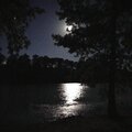 Midnight (feat. ZO FUEGO) [Explicit]